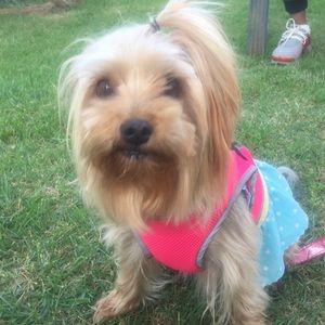 Meet your Posher, Liz